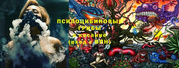 стафф Богородицк